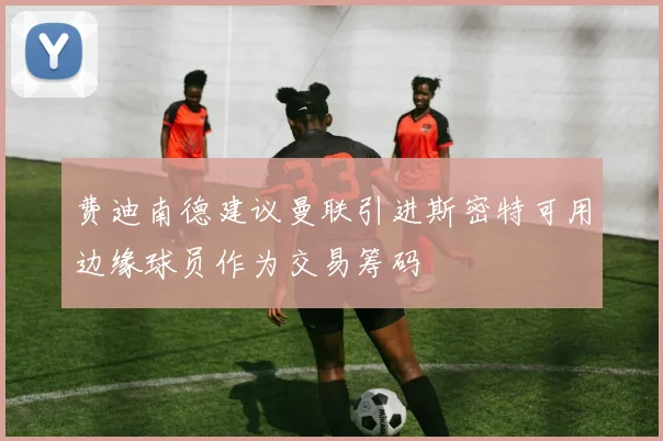 费迪南德建议曼联引进斯密特可用边缘球员作为交易筹码