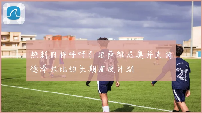 热刺旧将呼吁引进萨维尼奥并支持德泽尔比的长期建设计划