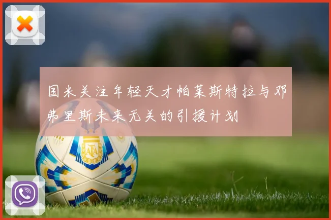 国米关注年轻天才帕莱斯特拉与邓弗里斯未来无关的引援计划
