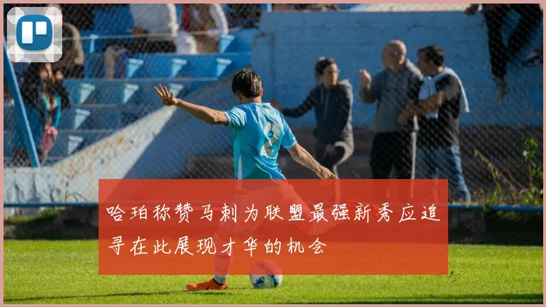哈珀称赞马刺为联盟最强新秀应追寻在此展现才华的机会